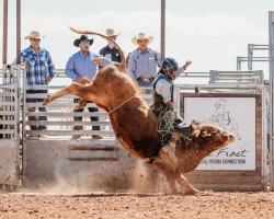 Fundraising Page Image